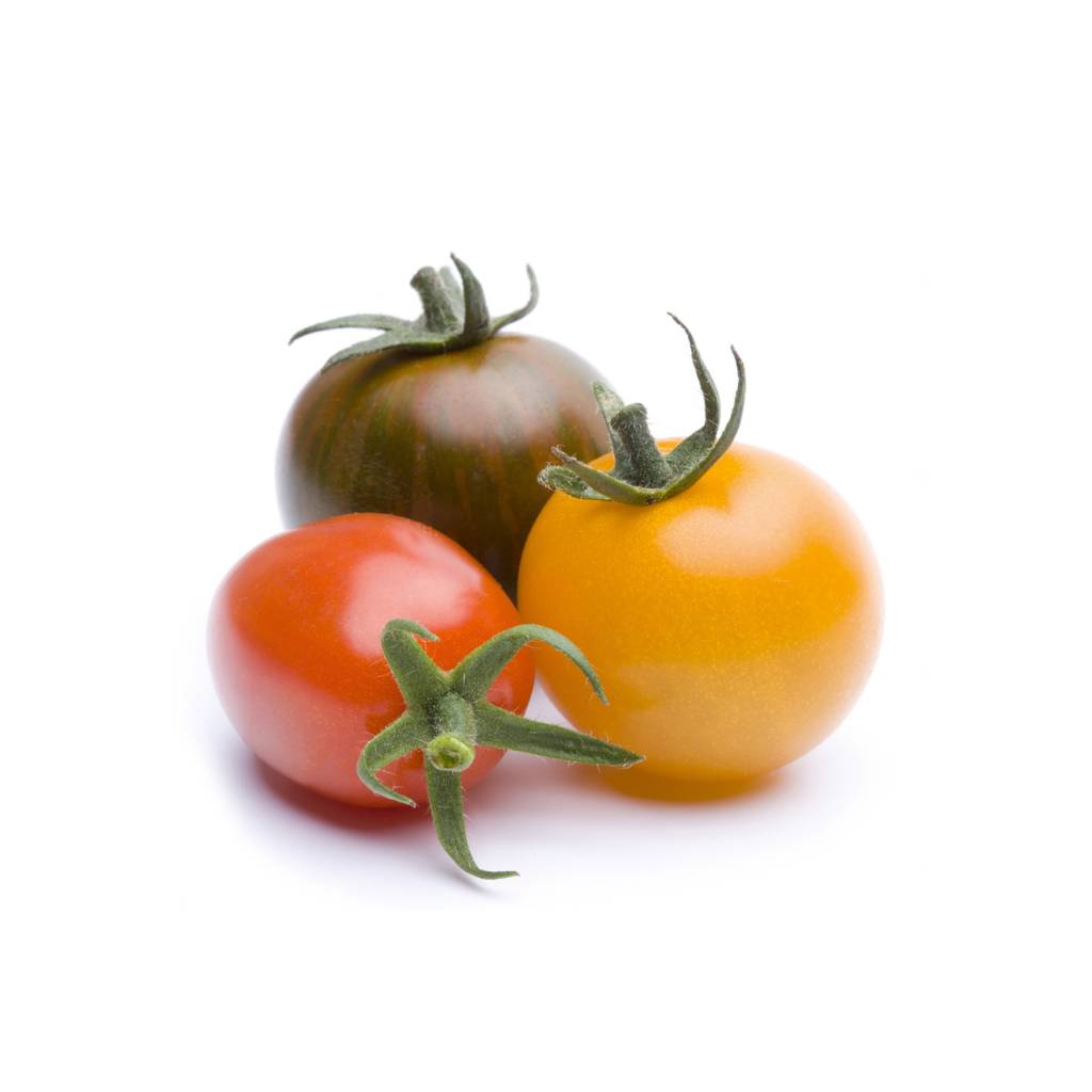 Gratis Tomatensamen „Sunviva“ sichern – Newsletter zur Aktion Vielfalt statt Macht